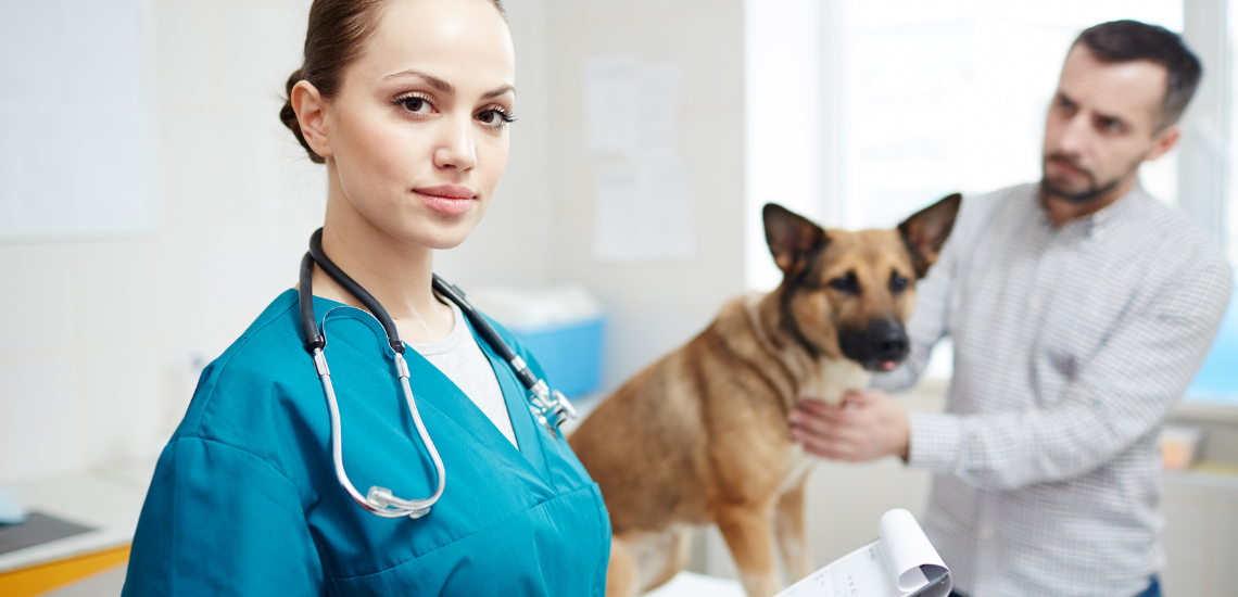 blog de marketing veterinario