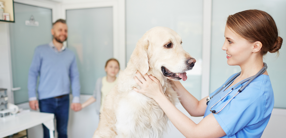 CONSEGUIR CLIENTES VETERINARIA