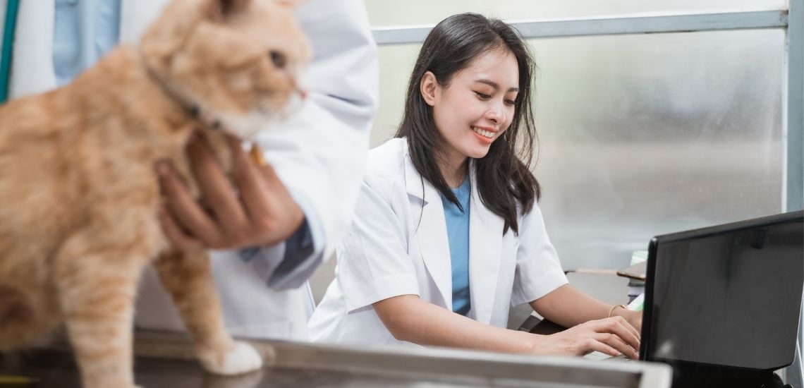 blog de marketing veterinario
