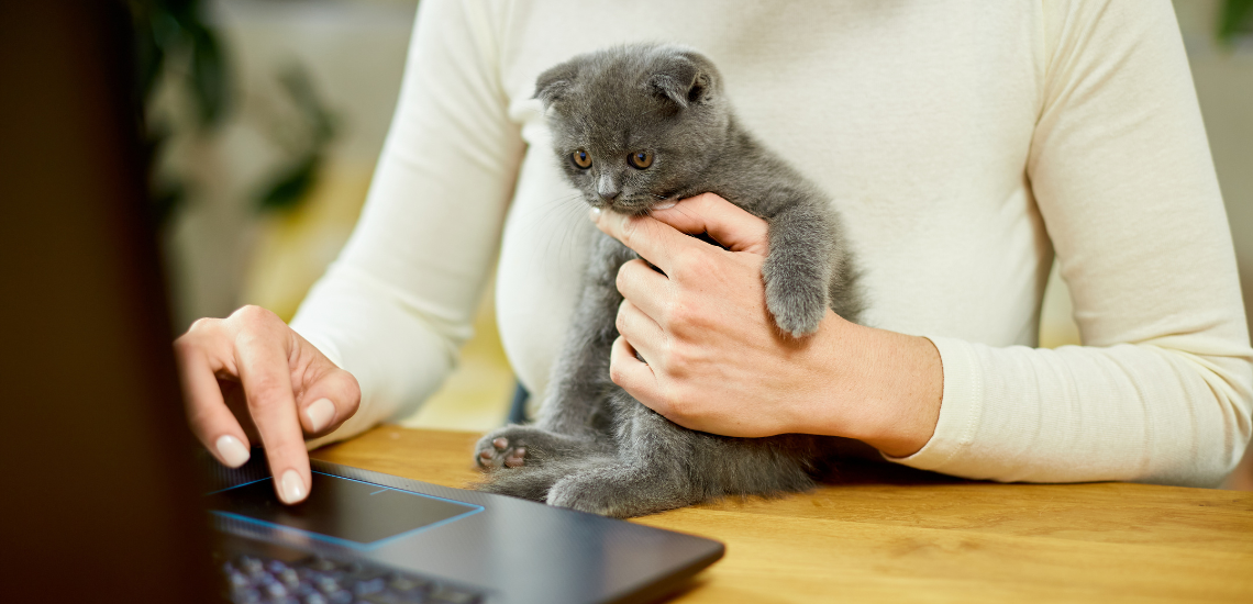 microobjetivos clinicas veterinarias