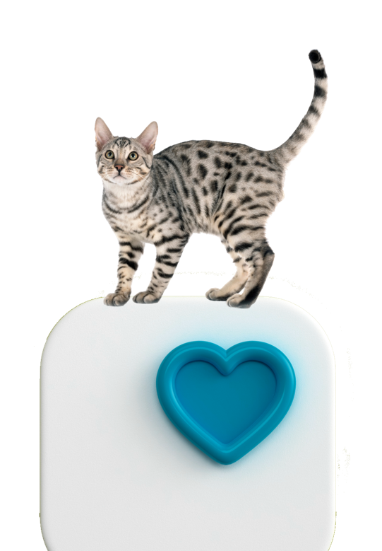 Planes de salud de WinVet