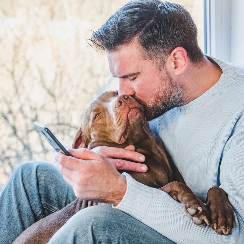Aplicación móvil para veterinarios