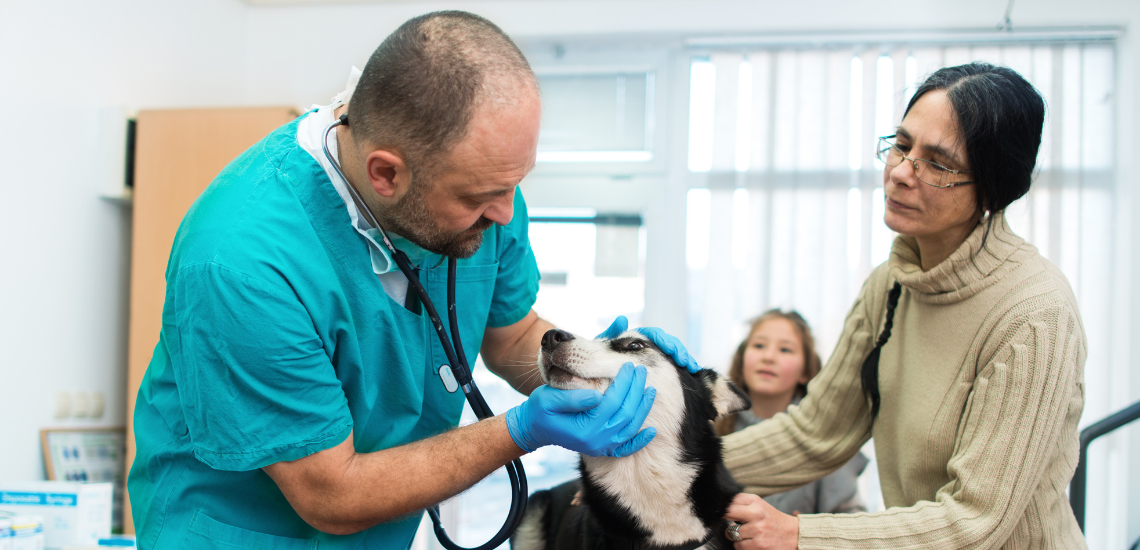 5 consejos para malas noticias en situaciones veterinarias extremas