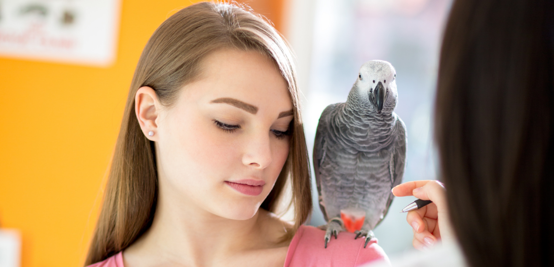 Implementar una mejor gestión veterinaria en 2019