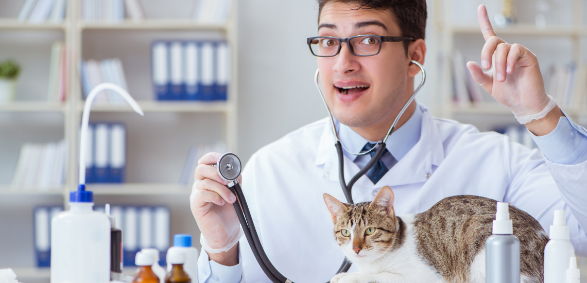 Optimizar el programa veterinario WinVet correctamente