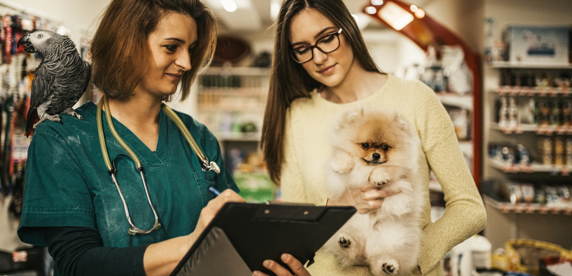 Optimizar el programa veterinario WinVet correctamente