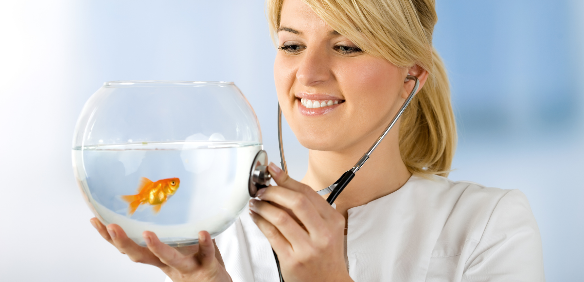 software veterinario de gestion