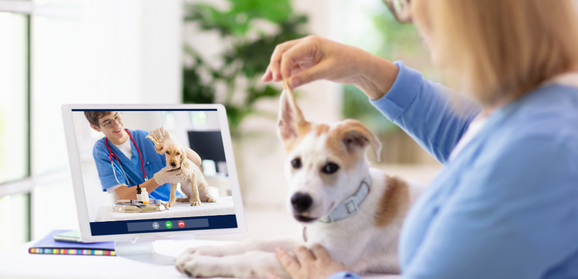 Gestionar una clínica veterinaria: la simbiosis digital de WinVet