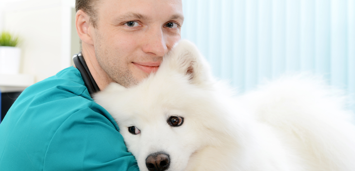 profesionales veterinarios