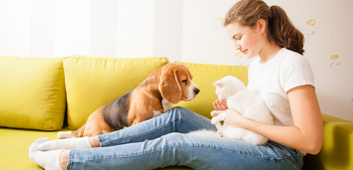 Gestión veterinaria en local. 5 beneficios de una gestión más tradicional