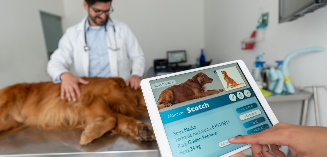 Veterinarios 3.0: La nueva generacion del relevo veterinario