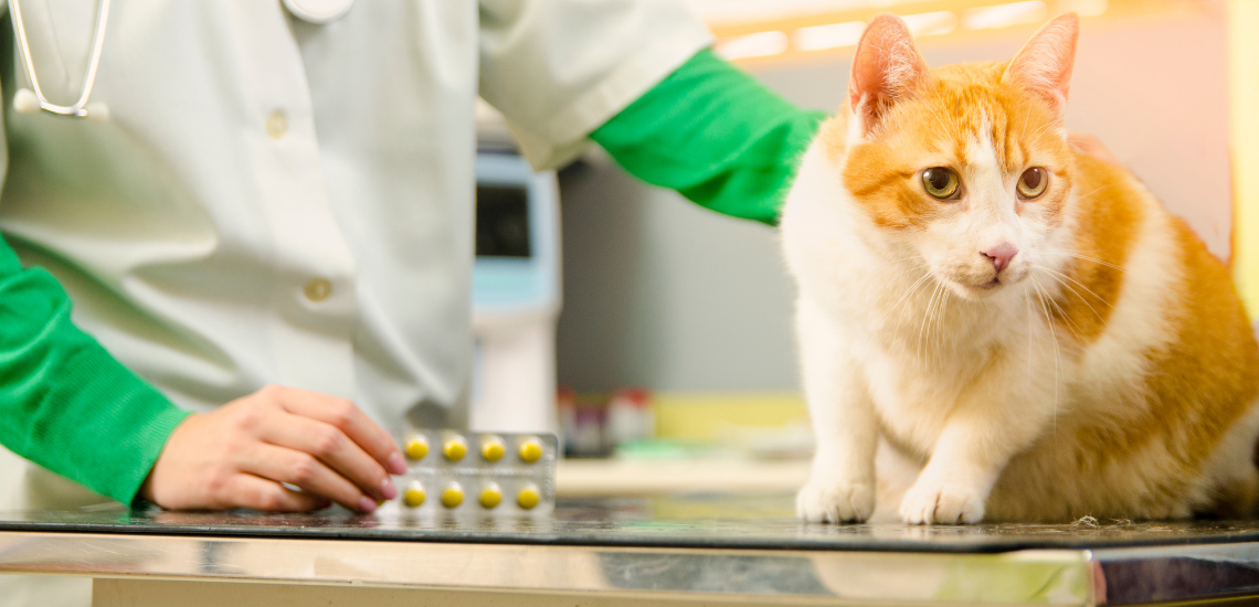 proteccion de datos personales