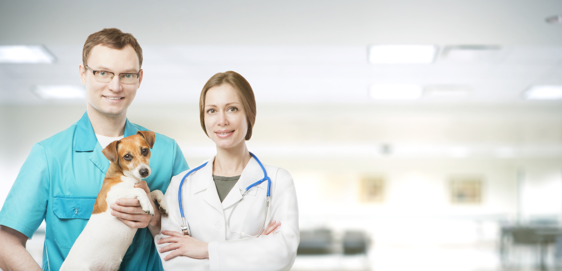 Protección de datos personales con tu software de gestión veterinaria