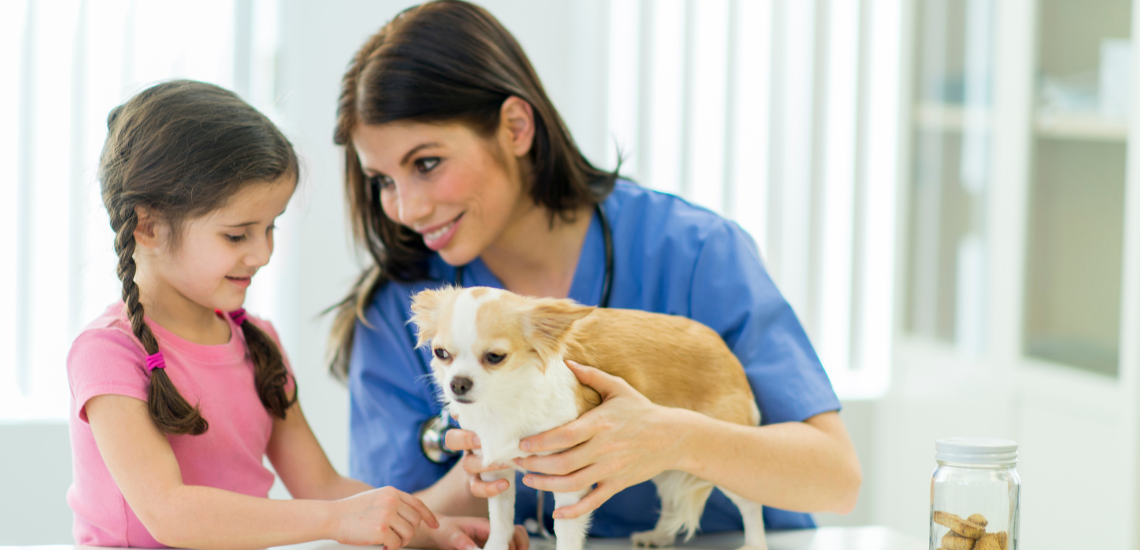 propietarios de mascotas