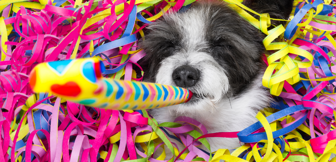 Claves para diseñar planes de salud en WinVet