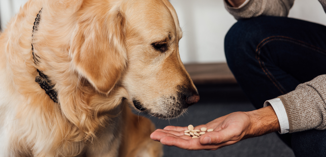 planes de salud efectivos