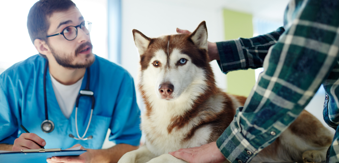 Precio de los planes de salud