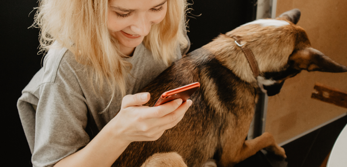 Software veterinario gestion winvet