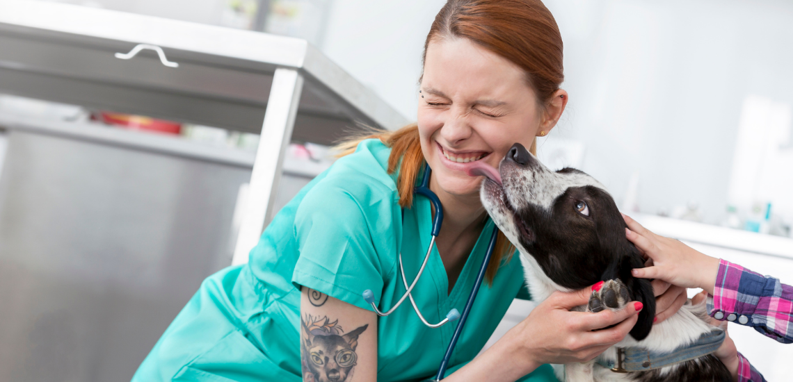 Software veterinario gestion winvet