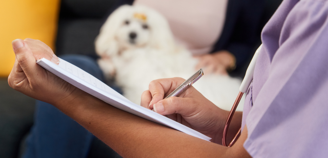 TU SOFTWARE VETERINARIO DE GESTIÓN WINVET SE PREPARA PARA EL 2020