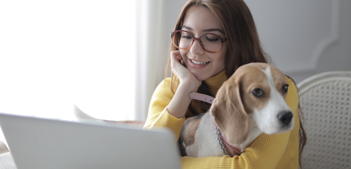 plan comercial en tu clínica veterinaria