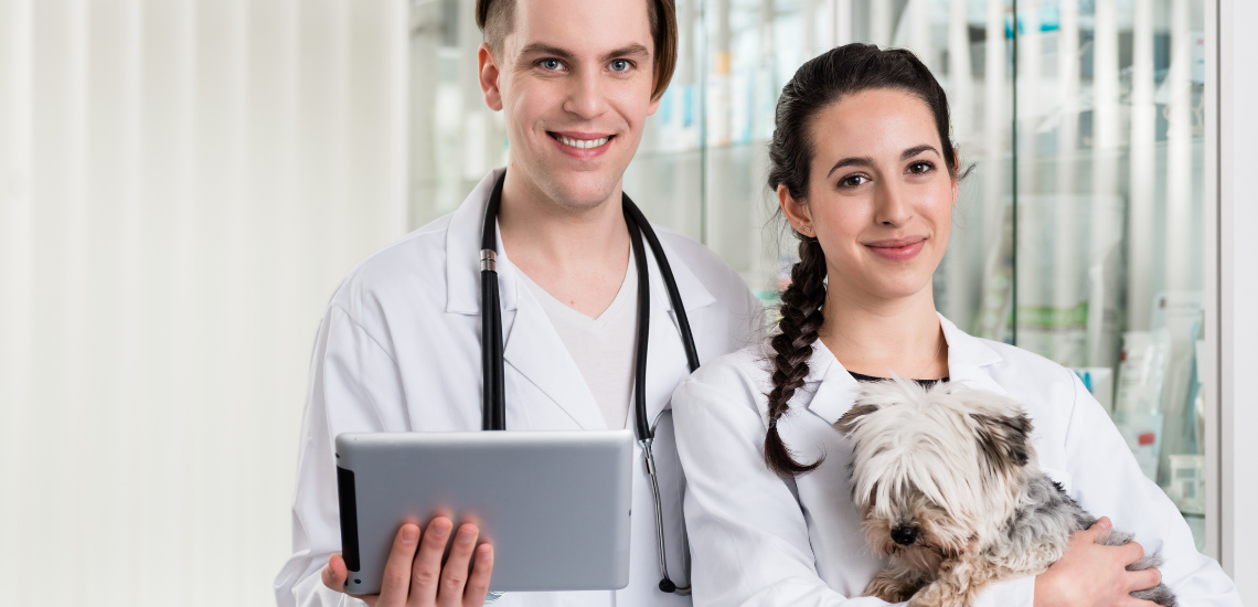 nueva gestion veterinaria