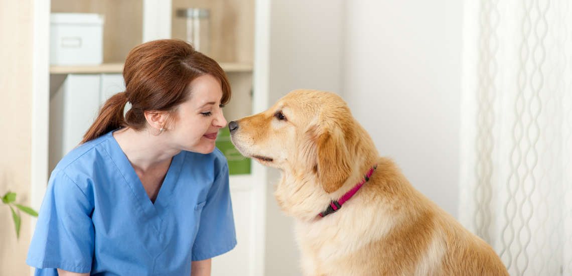 Rentabilidad veterinaria: Crea confianza con tus clientes