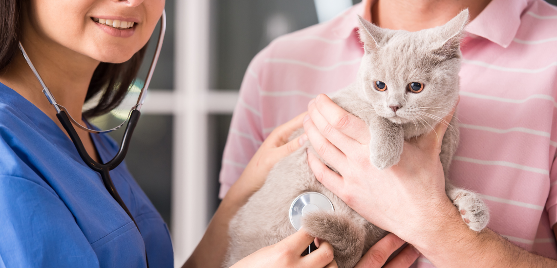 rentabilidad veterinaria