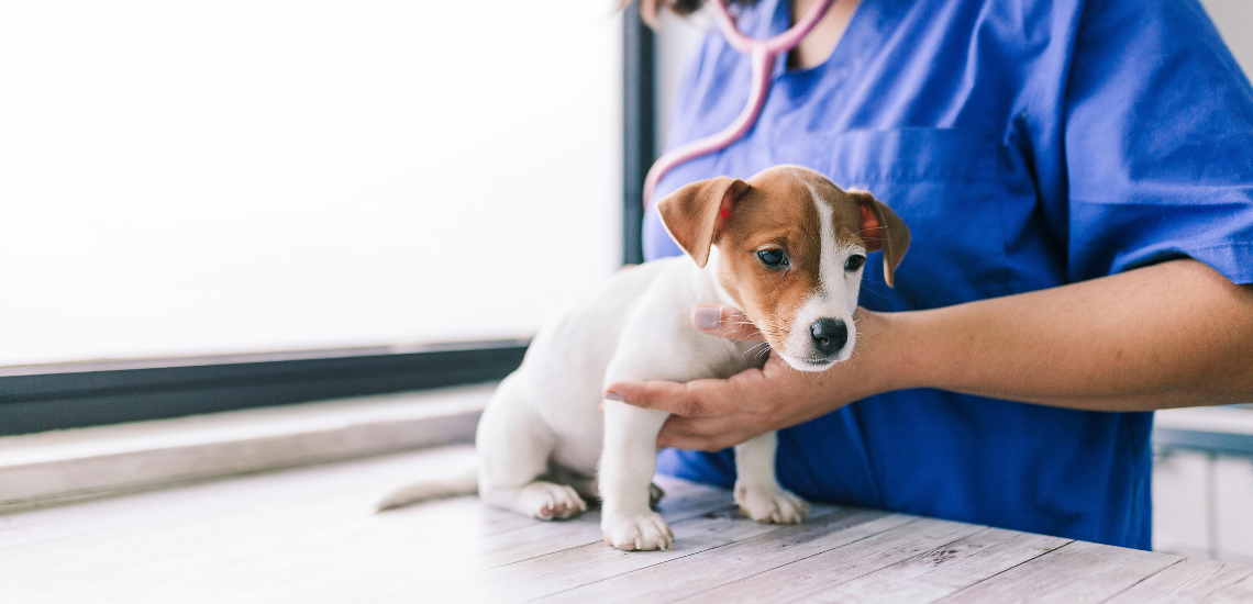 Gestión correcta del tiempo
