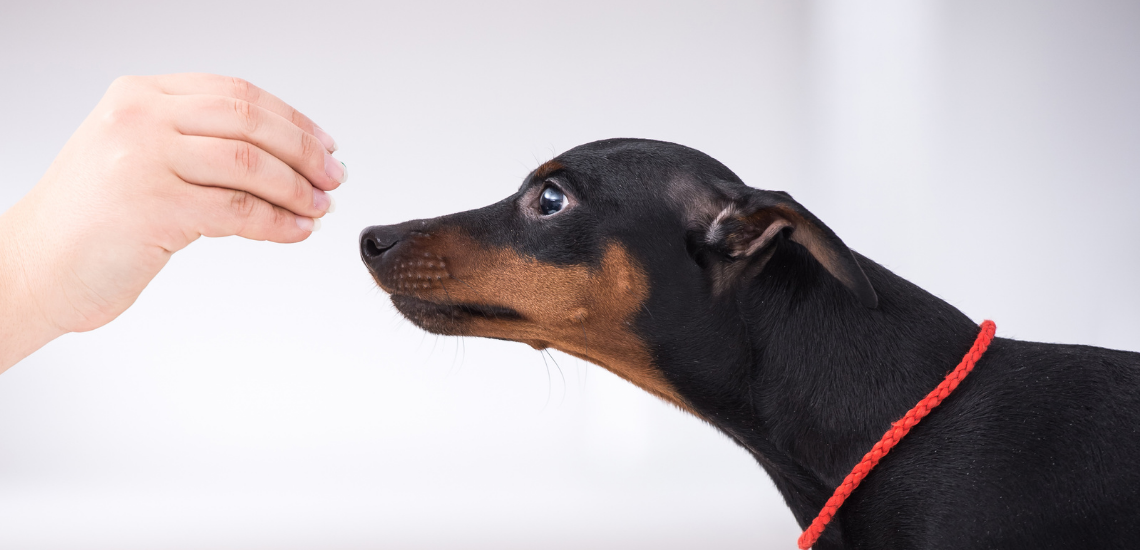 valoración en internet