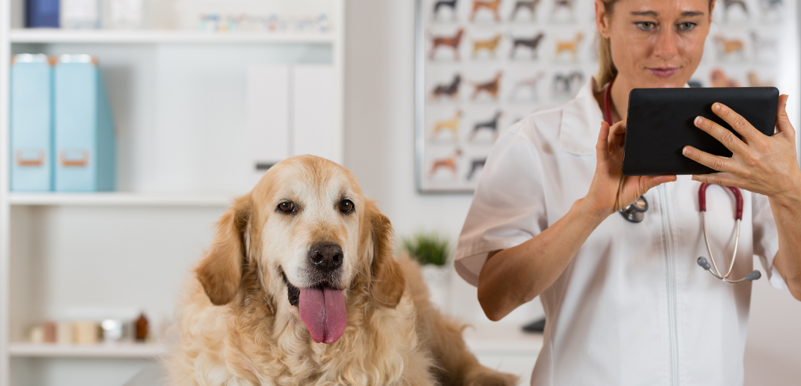 valoración en internet