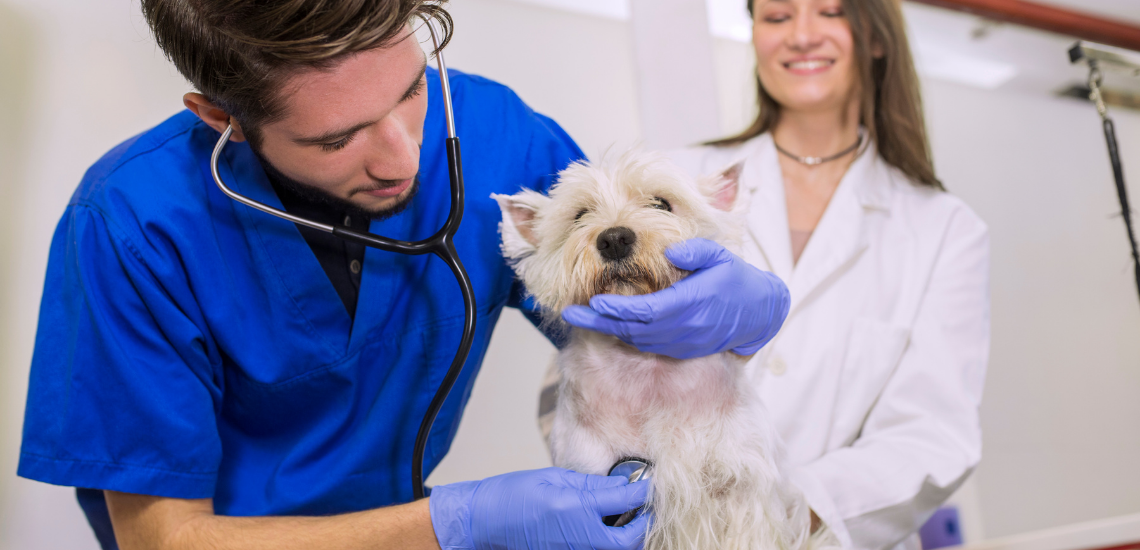 valoración en internet