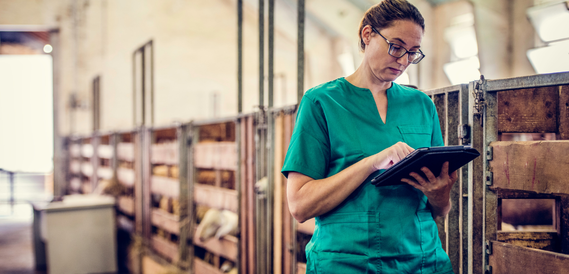 CUSTOMER JOURNEY VETERINARIO