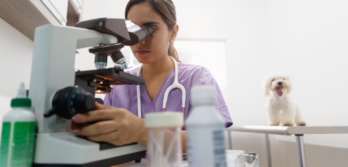 CUSTOMER JOURNEY VETERINARIO