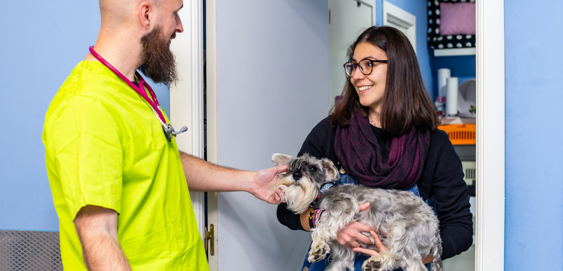 5 TÉCNICAS DE GESTIÓN FÁCILES PARA ORGANIZAR TU CENTRO VETERINARIO