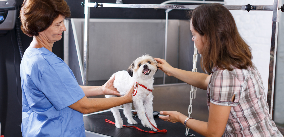 CUSTOMER JOURNEY VETERINARIO