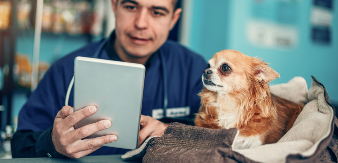 big data centros veterinarios