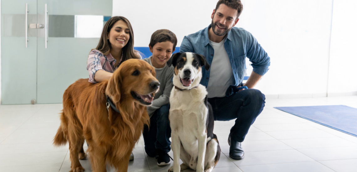 CÓMO GESTIONAR LA REPUTACIÓN ONLINE DE TU CLÍNICA VETERINARIA