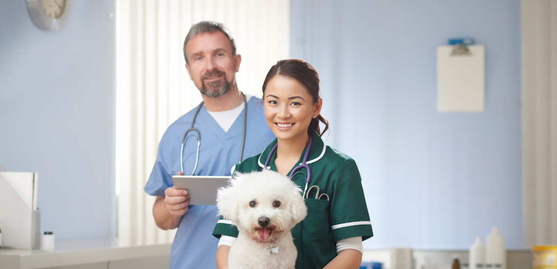Marketing veterinario | Tu plan de marketing con WinVet