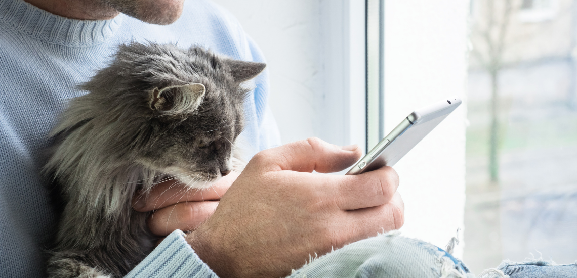 Mensajería instantánea de WinVet