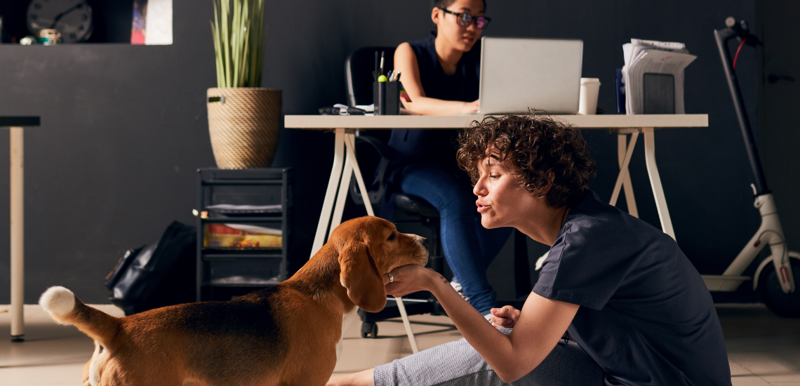 marketing veterinario