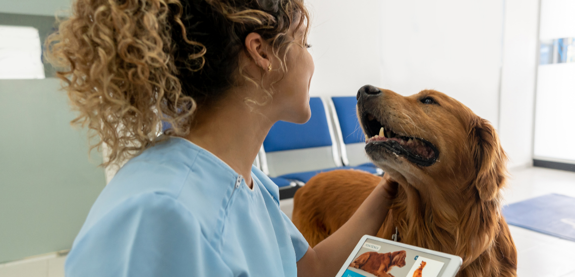 Redes sociales para tu clínica veterinaria: 7 consejos para escogerlas.